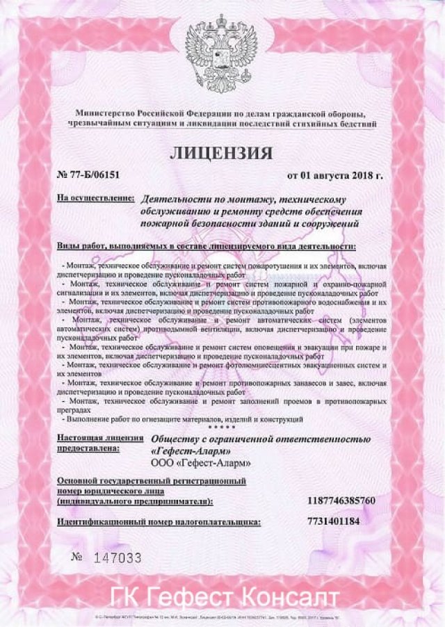 Образец лицензии МЧС